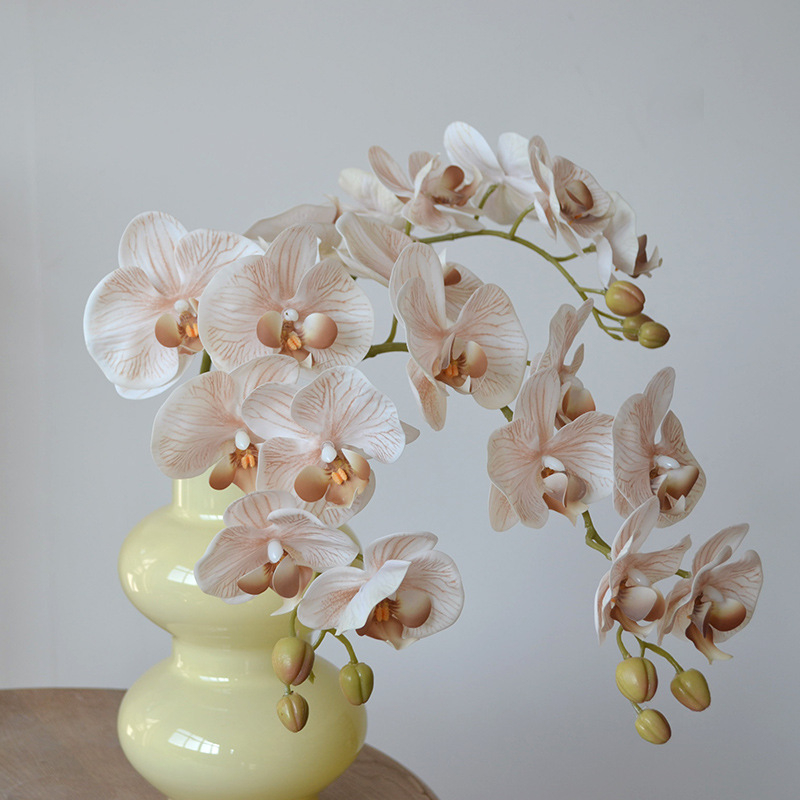 Cream Beige Artificial Phalaenopsis Orchid, Faux Butterfly Orchid Stem