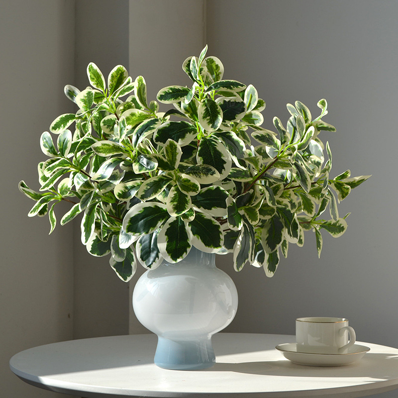 Variegated Artificial Pittosporum Foliage Spray, Faux Green White Shrub Leaves
