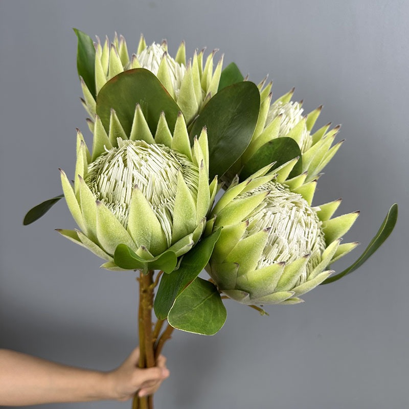 Artificial Green Protea King Flower, Faux King Protea Stem for Vase