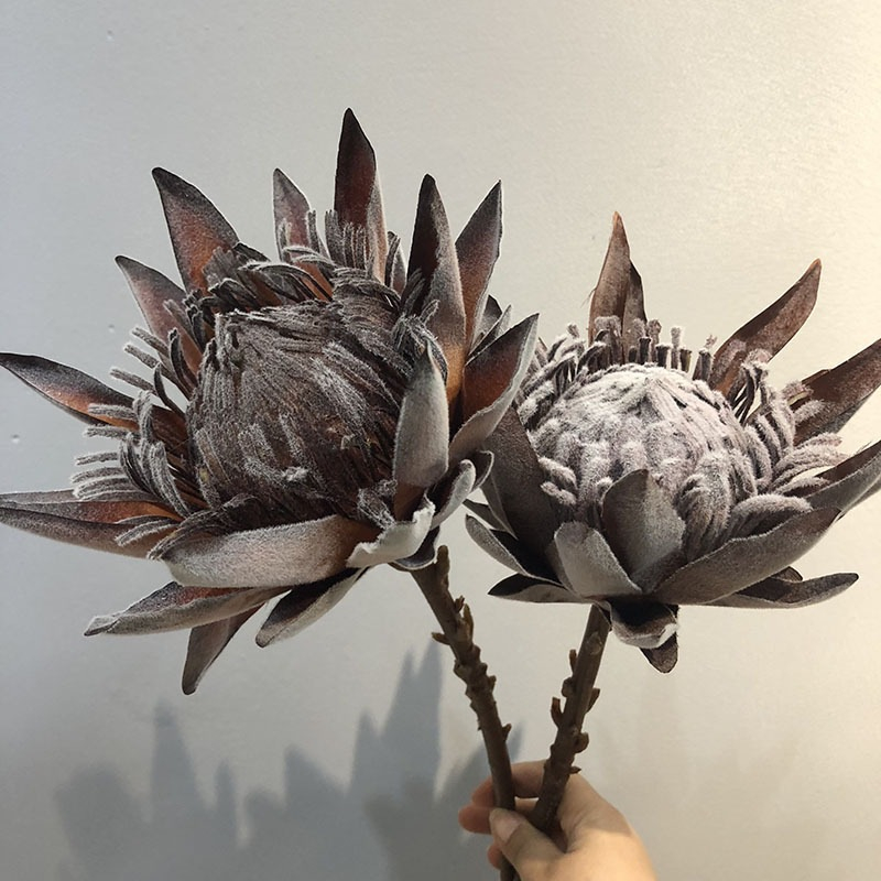 Artificial King Protea, Faux Protea Cynaroides Dried-Style Bloom