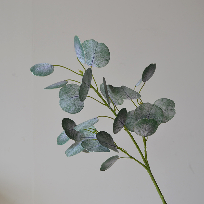 Frosted Green Coin Eucalyptus Stem, Artificial Silver Dollar Eucalyptus for Vase Arrangement