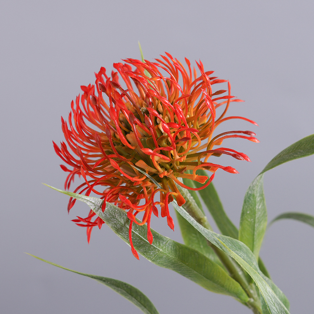 Bright Red Artificial Leucospermum Flower Stem, Faux Pincushion Protea for Wild Floral Styling