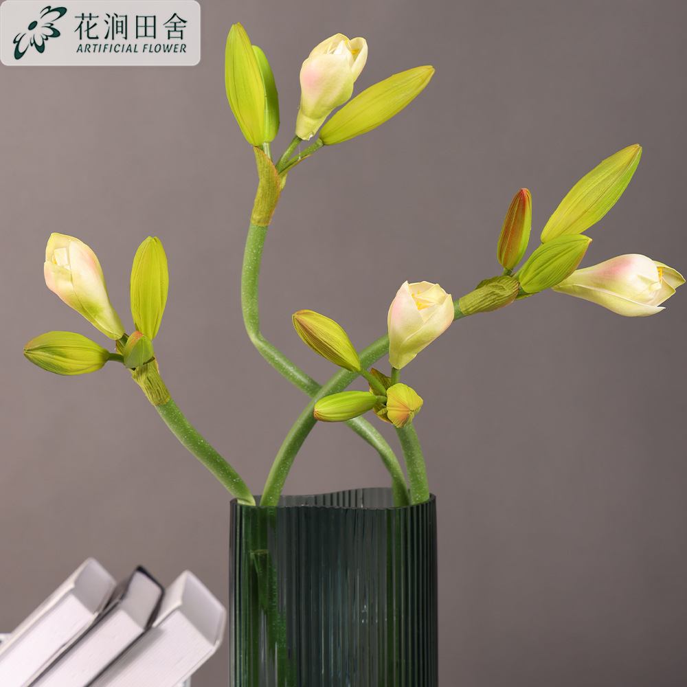 Curved Artificial Amaryllis Bud Stems, Faux Unbloomed Hippeastrum for Minimalist Vase Decor