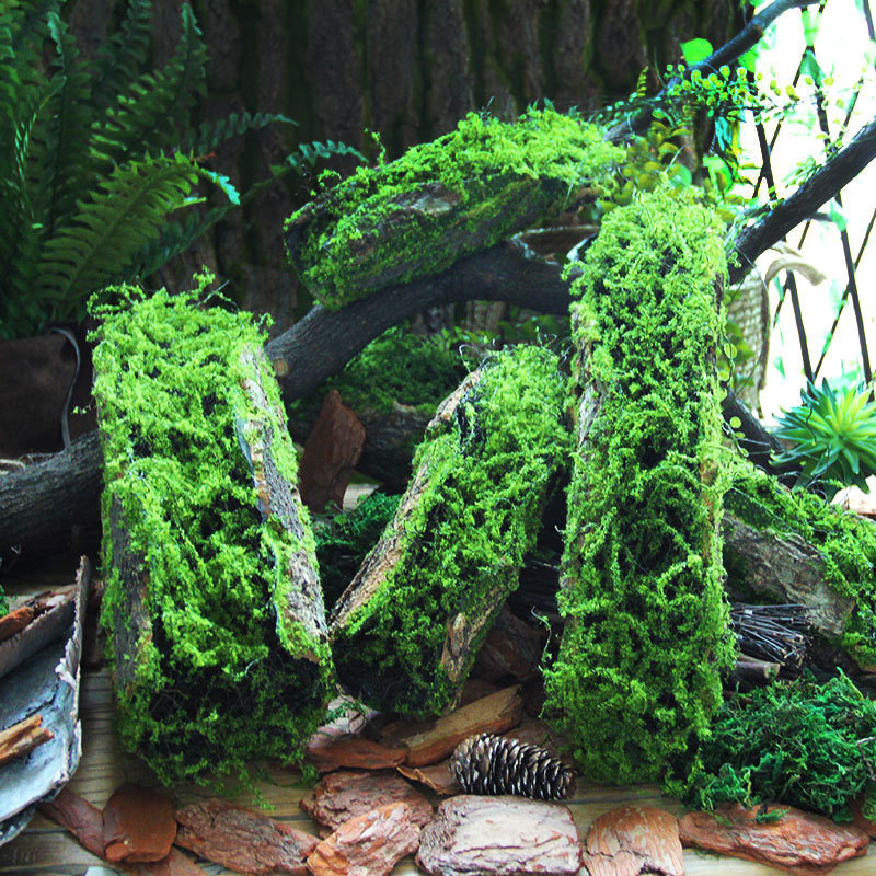 Moss Covered Bark Pieces, Artificial Moss Decor for Indoor Landscaping