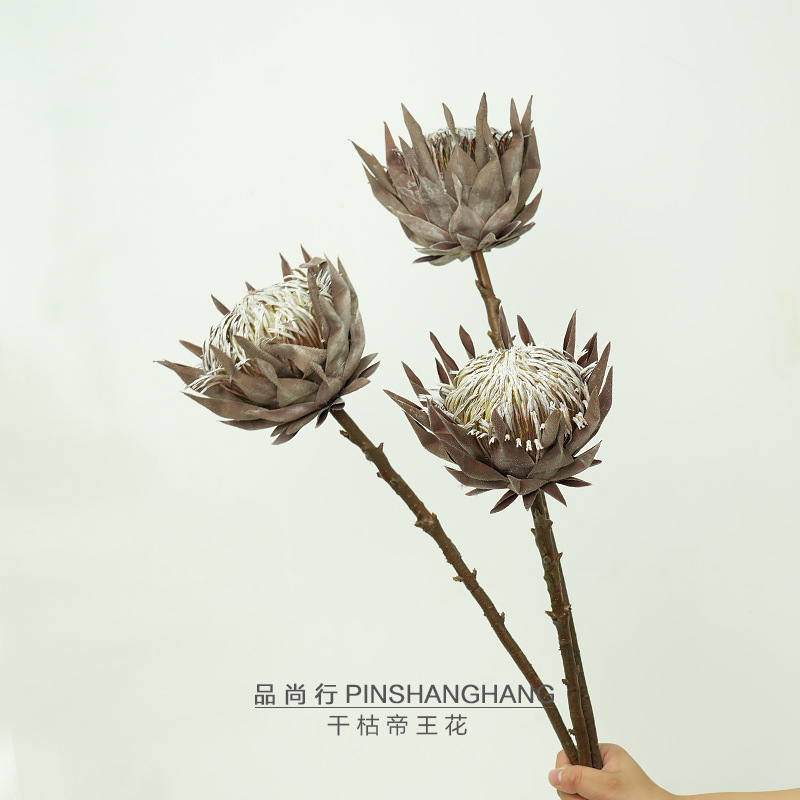 Vintage Dried Artificial King Protea Flower, Faux Dried Look Three-Head Stem