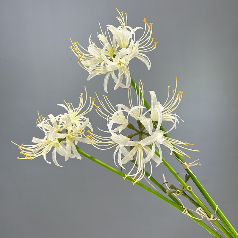 White Artificial Spider Lily Lycoris Silk Flower For Japanese Minimalist Vase Arrangement Decor